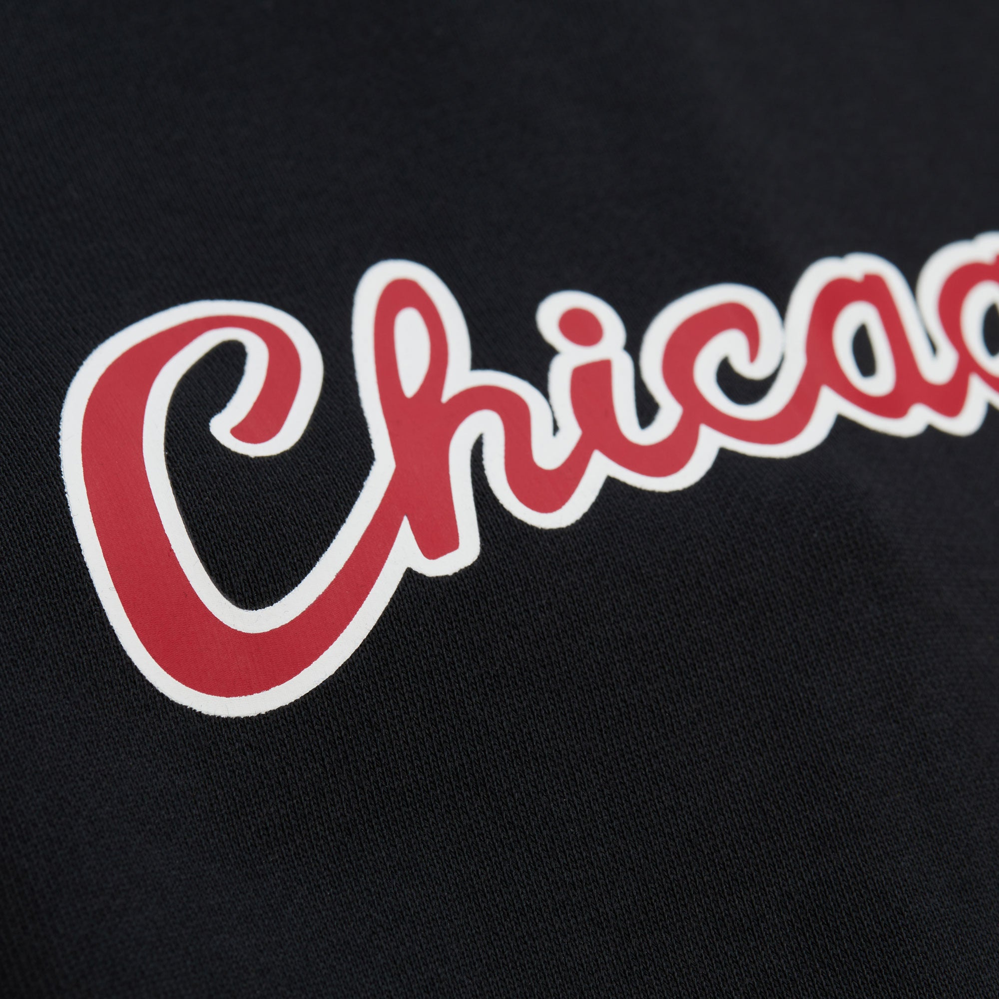 Dennis Rodman #91 Chicago Bulls Maxxed Out Player Mitchell & Ness NBA Full Zip Hoodie Schwarz