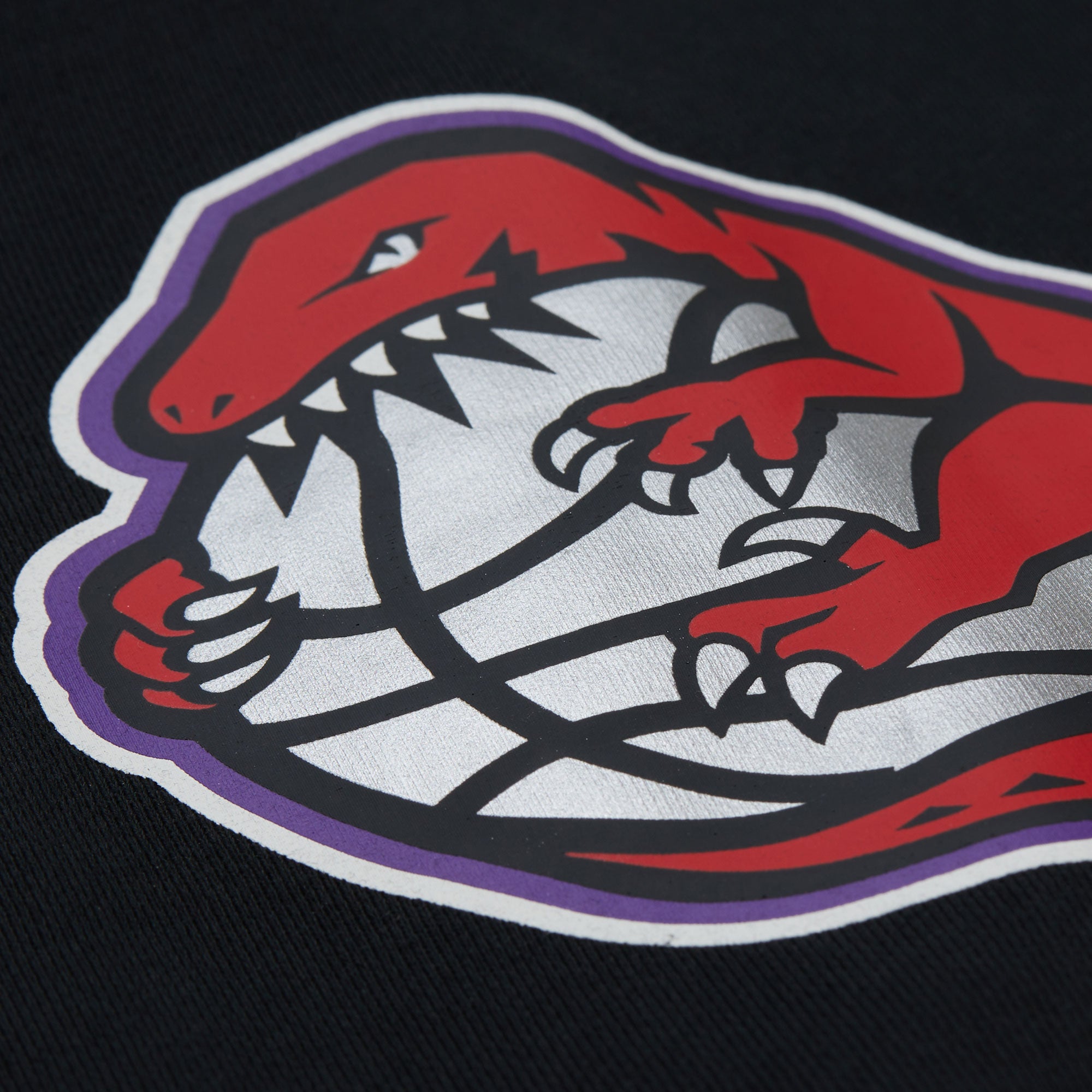 Vince Carter #15 Toronto Raptors Maxxed Out Player Mitchell & Ness NBA Full Zip Hoodie Schwarz