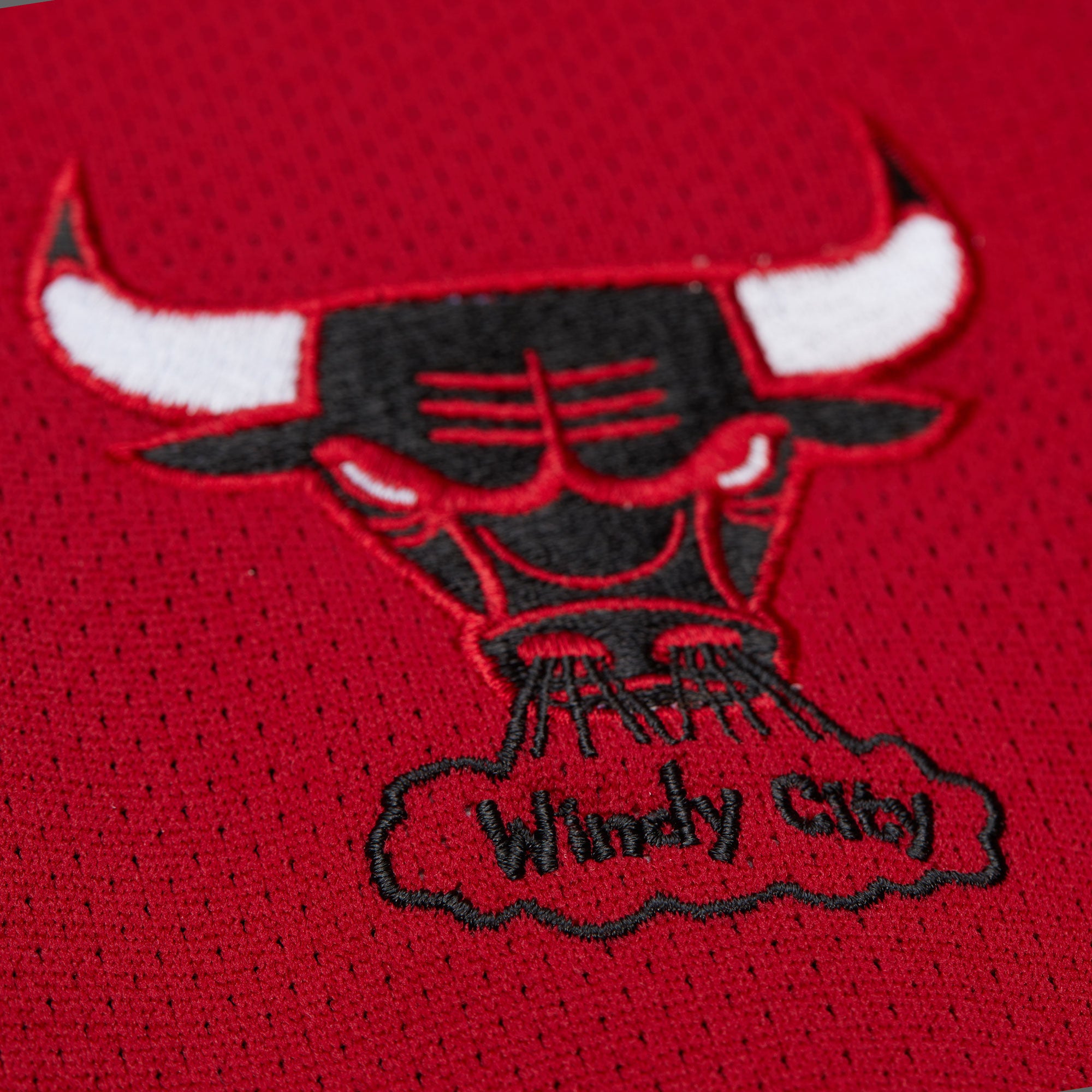 Chicago Bulls Mitchell & Ness Backprint Full-Zip NBA Jacke Schwarz - STADIUMDREAMS