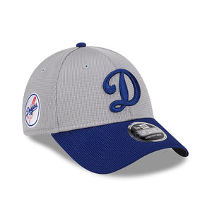 Los Angeles Dodgers New Era 2025 MLB Batting Practice 9FORTY Stretch Snap Cap Grau - STADIUMDREAMS