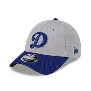 Los Angeles Dodgers New Era 2025 MLB Batting Practice 9FORTY Stretch Snap Cap Grau - STADIUMDREAMS