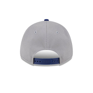 Los Angeles Dodgers New Era 2025 MLB Batting Practice 9FORTY Stretch Snap Cap Grau - STADIUMDREAMS