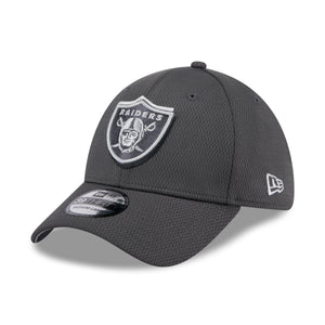 Las Vegas Raiders 2024 NFL Draft New Era 39Thirty Flex Cap Grau - STADIUMDREAMS