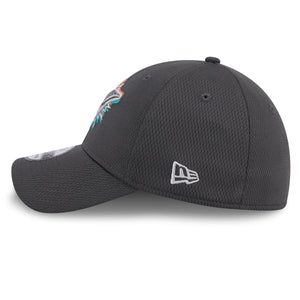 Miami Dolphins 2024 NFL Draft New Era 39Thirty Flex Cap Grau - STADIUMDREAMS