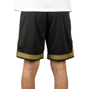 San Francisco 49ers New Era Graphic Mesh NFL Short Schwarz - STADIUMDREAMS