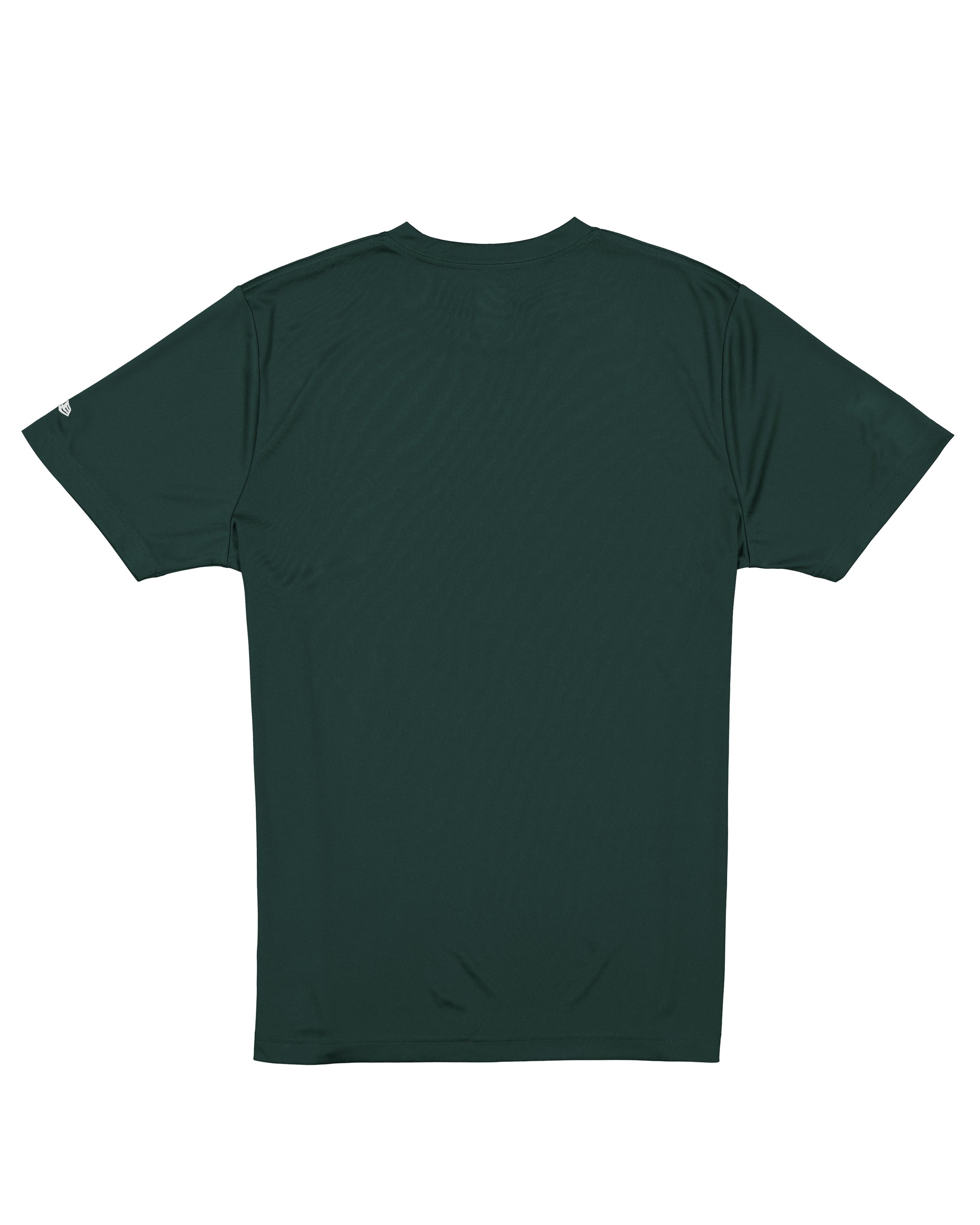 Green Bay Packers New Era USA Collection Vintage Style NFL T-Shirt Grün