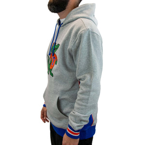 Florida Gators NCAA Pinnacle Heavyweight Fleece Hoodie grau - STADIUMDREAMS