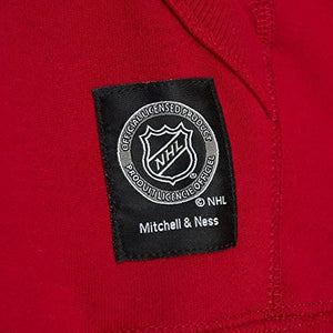 NHL CITY COLLECTION FLEECE HOODY RED WINGS - STADIUMDREAMS