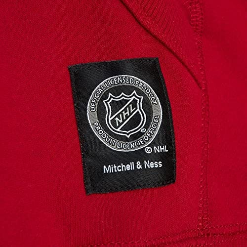 NHL CITY COLLECTION FLEECE HOODY RED WINGS - STADIUMDREAMS