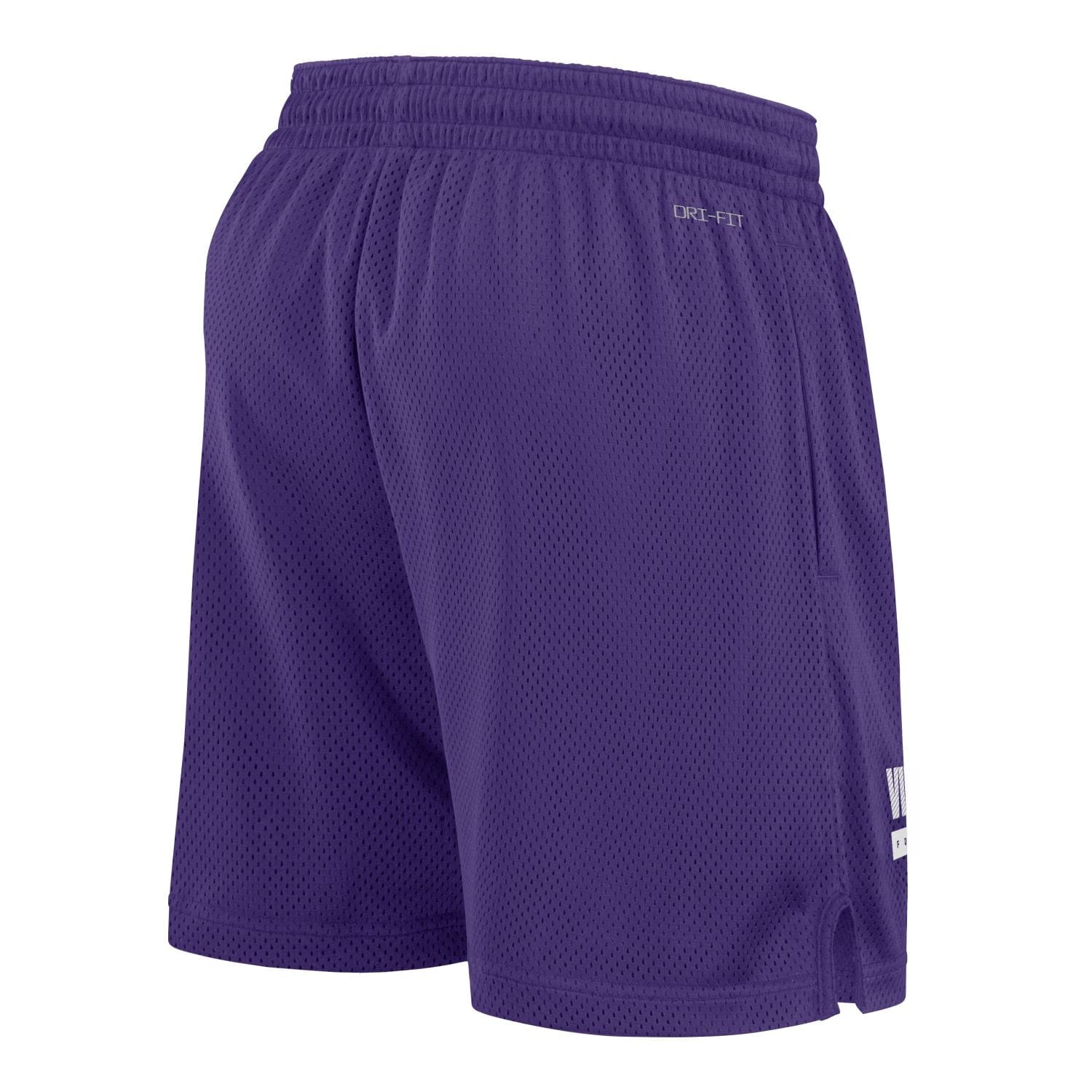 Minnesota Vikings NFL Nike Dri-Fit Mesh Short - STADIUMDREAMS