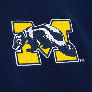 Michigan Wolverines NCAA Hometown Fleece Hoodie navy - STADIUMDREAMS